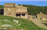 Podere Tegline Tuscany Holiday home